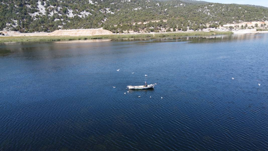 Beyşehir Gölü'nde teknelerinin peşine takılan martıların balık kapma yarışı 2
