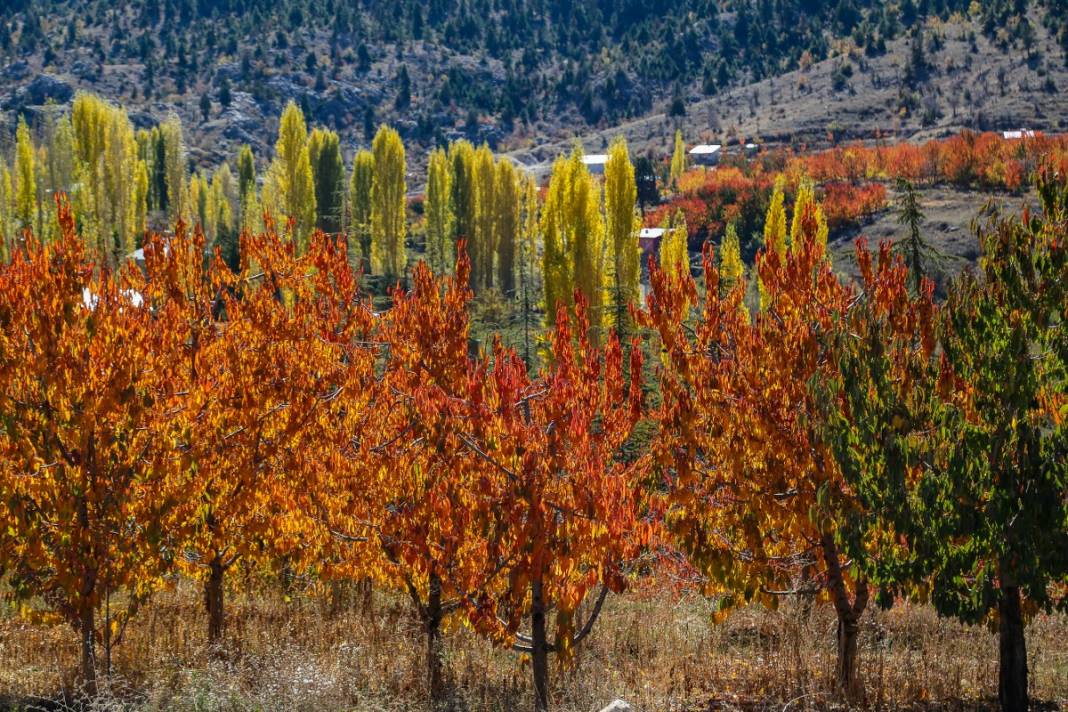 Orta Toros Dağlarında sonbahar renkleri görenleri büyülüyor 2