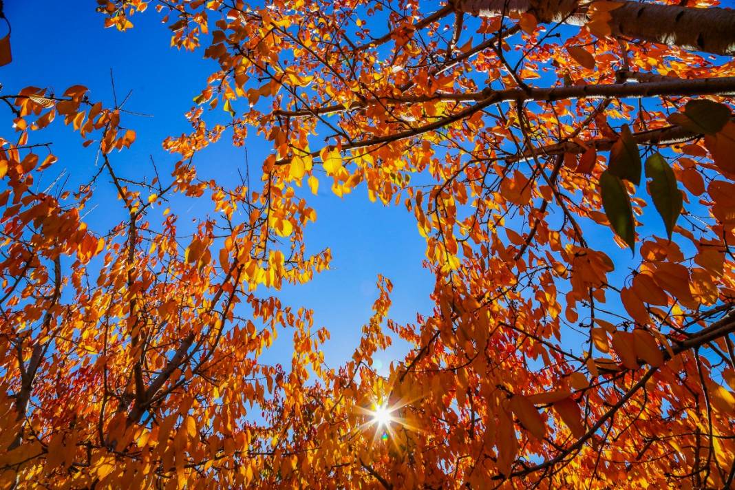 Orta Toros Dağlarında sonbahar renkleri görenleri büyülüyor 4