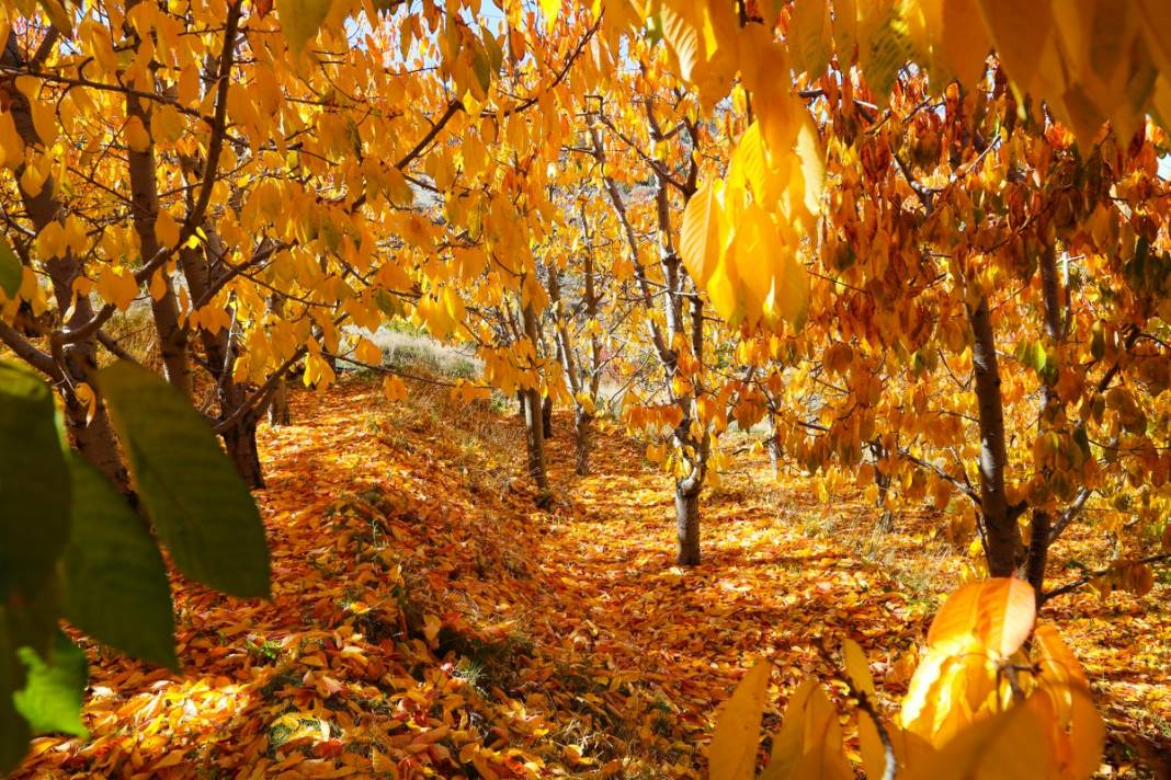 Orta Toros Dağlarında sonbahar renkleri görenleri büyülüyor 5
