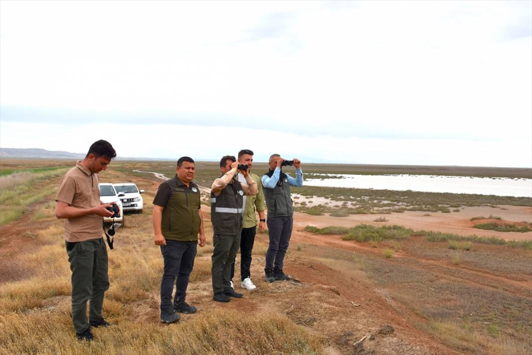 Konya ve Aksaray sınırındaki flamingoları korumak için 24 saat nöbet tutuyorlar 5
