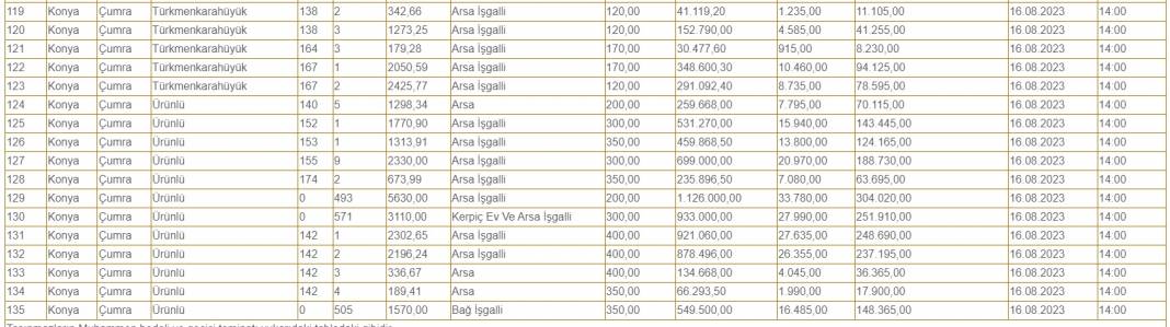 Konya'da belediye 135 arsa satacak! 37 bin lira detayı 8