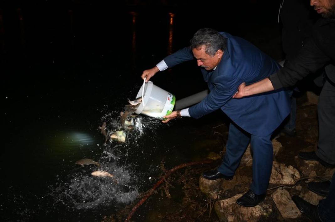 Konya'daki meşhur parkta yer alan gölete 1 milyon 300 bin sazan bırakıldı 6