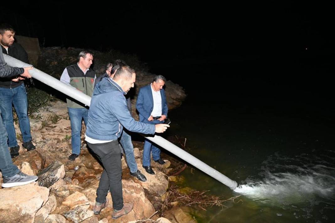 Konya'daki meşhur parkta yer alan gölete 1 milyon 300 bin sazan bırakıldı 8
