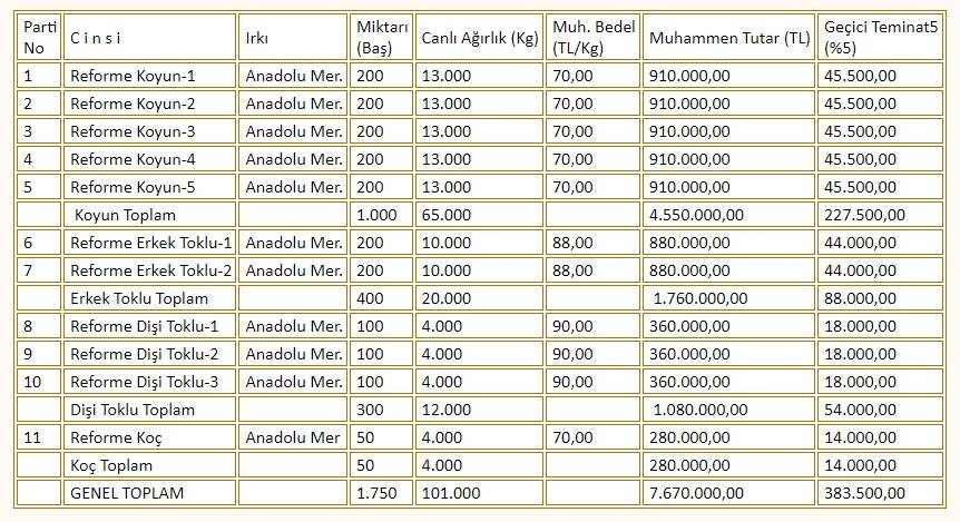 Konya'nın en büyük çiftliğinde 3 bin liraya koyun satılıyor! Stokta 1750 tane var 9