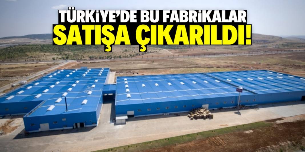 Türkiye'deki dev iki fabrika satışa çıkarıldı! 1,8 milyar TL isteniyor 1
