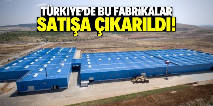 Türkiye'deki dev iki fabrika satışa çıkarıldı! 1,8 milyar TL isteniyor