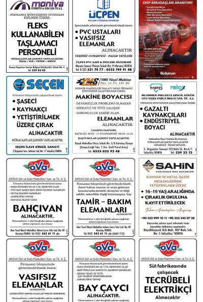 6. Sayfa