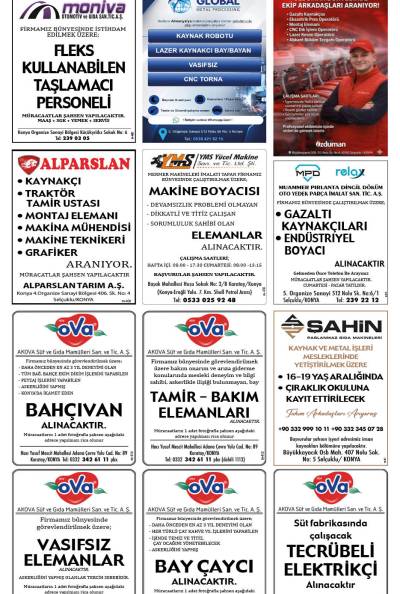 6. Sayfa