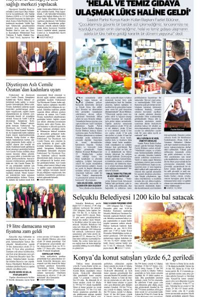 2. Sayfa