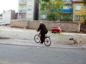 Şehirde ‘başıboş’ tehlike