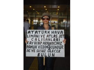 Günlerdir, Havalimanında Kaybolan Kedisini Arıyor
