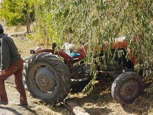 Traktör evin duvarına çarptı: 1 kişi yaralandı