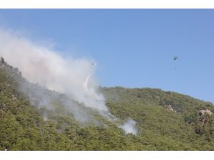 Oymapınar Yangının Yıldırım Düşmesi Sonucu Meydana Geldiği Kesinleşti