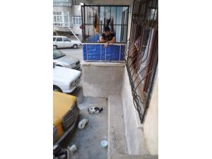 Evinin Balkonunda 7 Yıldır Sokak Kedilerini Besliyor