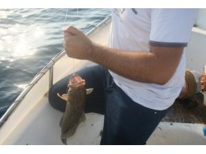 Denizde Av Yasağına Uymayana Ceza