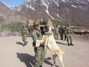 Kalp Krizi Sonucu Ölen Uzman Çavuş Toprağa Verildi