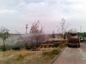 Aksaray’da piknik alanında yangın