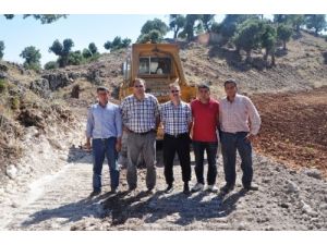 Mersin'de Ağaçlandırma Çalışmaları Devam Ediyor