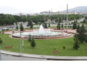 Tehlikeye Aldırış Etmeden Yüzüyorlar