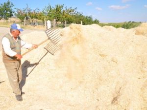 Geçen Yılın Zam Şampiyonu Saman Çiftçileri Sevindirdi