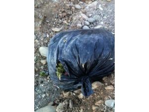 Muş’ta 6 Kilo 875 Gram Esrar Ele Geçirildi