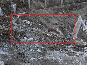 İnönü Stadı'nda tarih çıktı!