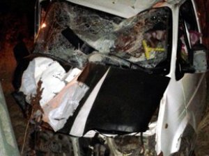 Bak şu kedinin yaptığına!