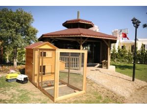 Çocuklara Hayvan Sevgisi Aşılayabilmek İçin Tay Park Kuruldu