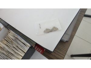 Kelebek Ve Tırtıl Kaçakçıları Suçüstü Yakalandı