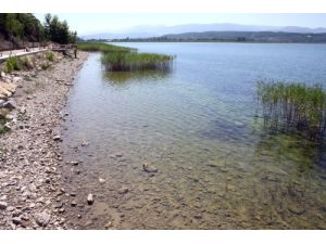 Sapanca Gölü Korkutuyor