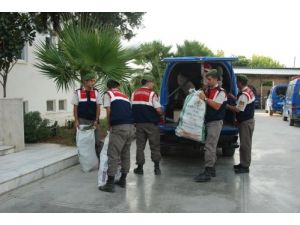 Damla Sulama İle Uyuşturucu Yetiştirmişler