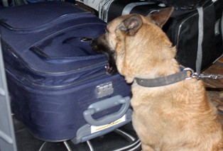 Uyuşturucu tacirleri yine Ares'e yakalandı