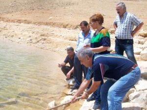 Karaman’da Göletlere 30 Bin Balık Bırakıldı