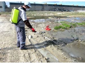 Akyol: Türkiye’nin En Ucuz İlaçlaması Gaziantep’te Yapılıyor