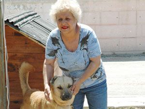 ‘Kısırlaştırma merkezi şart oldu’