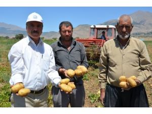 Patates İşçisi: Akaryakıttan Ötv Kalksın, Mazot Desteği De Verilmesin