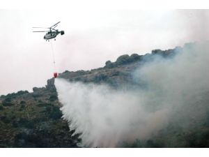 Bodrum'da Orman Yangını Kontrol Altına Alındı