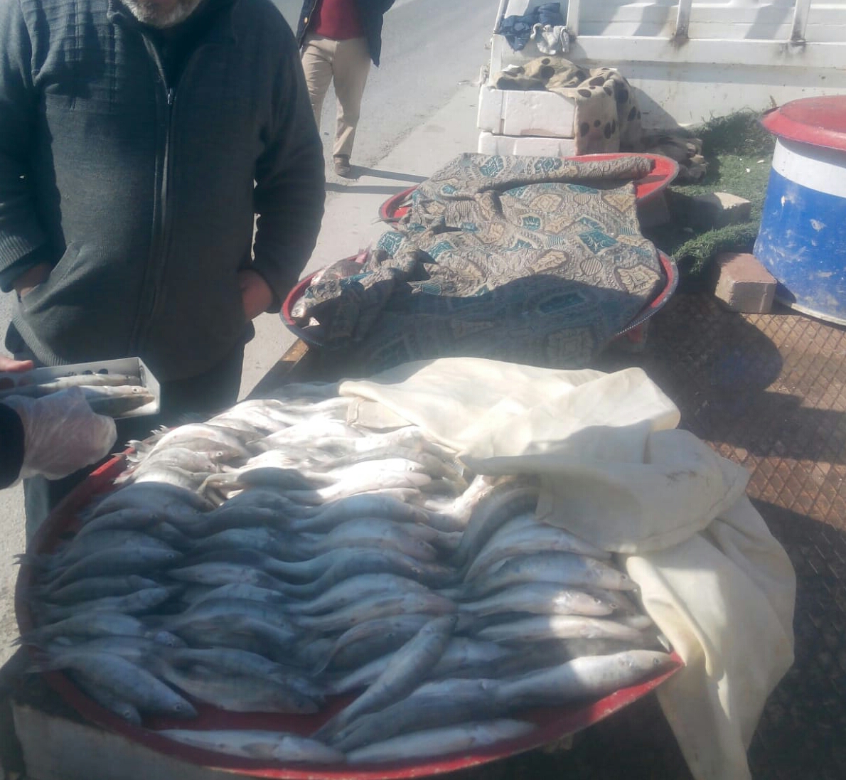 Konya'da boy limiti  altı balık satışına ceza