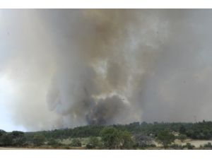 Çanakkale'deki Orman Yangını Hafifledi