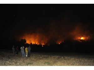 Çanakkale'deki Orman Yangını Devam Ediyor
