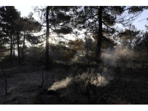 Çanakkale'deki Yangında Soğutma Çalışmaları Devam Ediyor