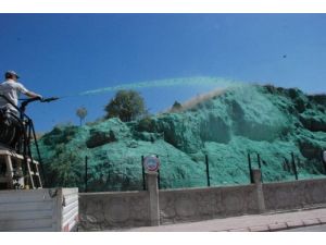 Belediye Yol Kenarındaki Yamaçlara Bitki Ekimi Yaptı