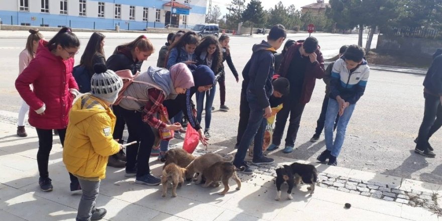 Öğrenciler harçlıklarıyla yem alıp sokak hayvanlarını besledi