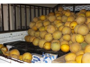 Kavunların Altında 26 Bin 680 Paket Kaçak Sigara Ele Geçirildi