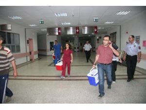 24 Yaşındaki Gencin Organları, 3 Kişiye Umut Oldu