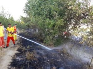 Pamukova'da Makilik Alanda Yangın