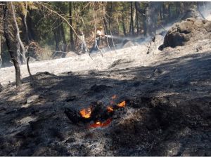 Orman Yangınlarına Karşı Anonslu Önlem