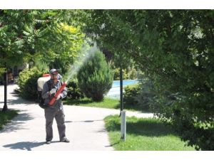 Belediye Halk Sağlığı İçin Parkları İlaçlıyor