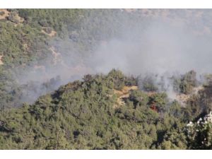 Belen’de Yine Orman Yangını Çıktı